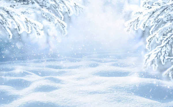 Zimowe Boże Narodzenie Malownicze Tło Miejsca Kopiowania Krajobraz Śniegu Gałązkami — Zdjęcie stockowe