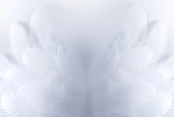 Нежный Синий Фон Белыми Красивыми Крыльями Ангела Птицы Крупным Планом — стоковое фото