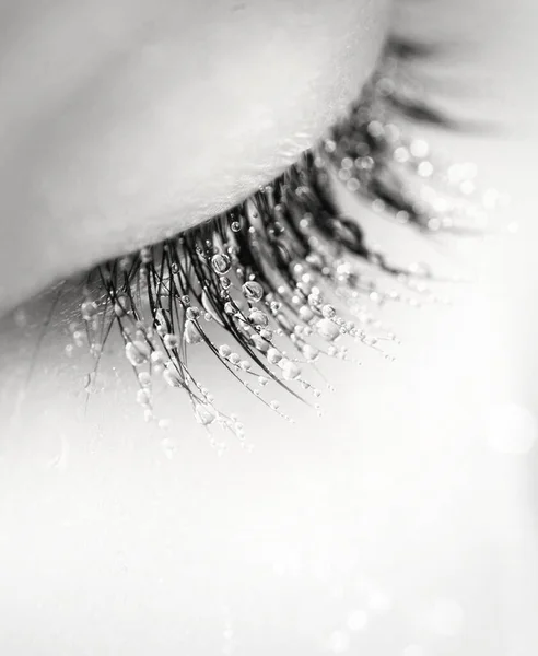 Eyelashes Drops Dew Macro Black White Photograph Gentle Trembling Romantic — Stock Fotó