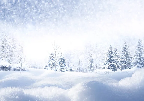 Winter Christmas Scenic Background Copy Space Snow Landscape Fir Trees — Foto de Stock