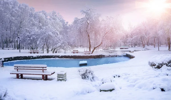 Beautiful Natural Evening Panorama Snow Covered City Park Frost Covered — Fotografia de Stock