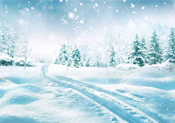 Beautiful landscape with cold winter forest with snowdrifts, light snowfall and snow-covered road stretching into the distance.