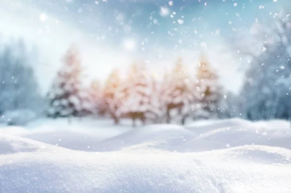 Gyönyörű Téli Témájú Háttér Egy Elmosódott Kép Téli Erdő Egy — Stock Fotó