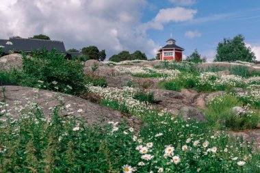 Kuzey Avrupa 'da kırsal bir manzara. Kayalık bir arazide tipik kırmızı boyalı ahşap kulübe, beyaz çiçek desenleri, Shasta papatyaları ve ön planda alçak bitki örtüsü. Gökyüzü parçalı bulutlu.