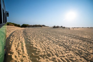 Güneşli bir günde, İspanya 'nın Endülüs kentindeki Donana Ulusal Parkı' nda bir safari sırasında kumların üzerinde giden bir arazi kamyonundan görülen çöl manzarası..