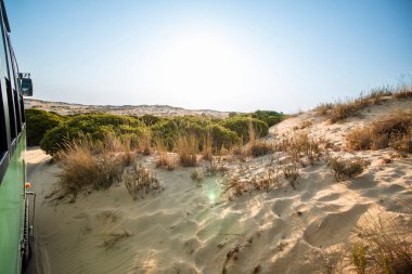 Güneşli bir günde, İspanya 'nın Endülüs kentindeki Donana Ulusal Parkı' nda bir safari sırasında kumların üzerinde giden bir arazi kamyonundan görülen çöl manzarası..