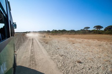 Güneşli bir günde kurak bir ortamın kumları üzerinde yol alan bir arazi kamyonu. Fotoğraf İspanya, Endülüs 'teki Donana Ulusal Parkı' nda safari sırasında çekilmiş..