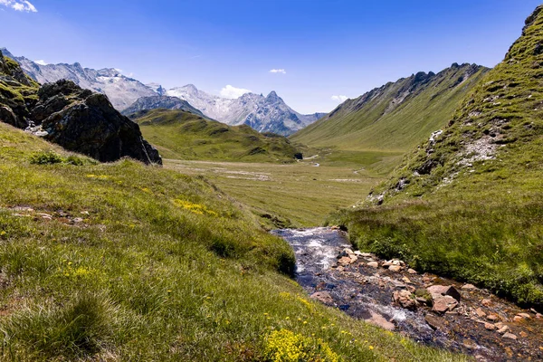 View of a majestic alpine landscape during a sunny day. In the foreground, a river winds, flowing between rocks and alpine meadows, toward the high mountains in the background. High quality photo.