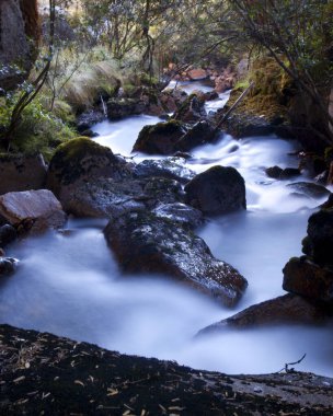 Bulanık su manzarası nehrinin ve Huaraz, Peru yakınlarındaki Santa Cruz Trek boyunca yeşil yağmur ormanlarının yavaş çekim süreleri.