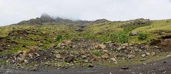 Landskap Panorama Utsikt Väg Till Ras Dashen Det Högsta Berget — Stockfoto