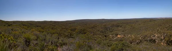 Πανόραμα Του Τοπίου Outback Στο Μονοπάτι Αγριολούλουδα Μέσα Στο Απομακρυσμένο — Φωτογραφία Αρχείου