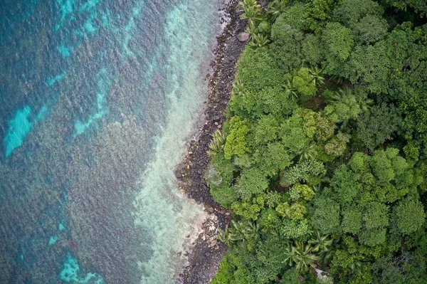 Drone Field View Sea Coastline Natural Background Forming Patterns Nature — Foto Stock