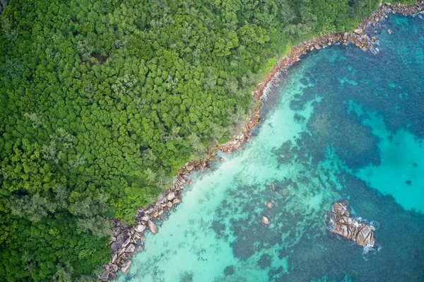 Drone Field View Turquoise Blue Waters Meeting Green Forest Praslin — Stockfoto