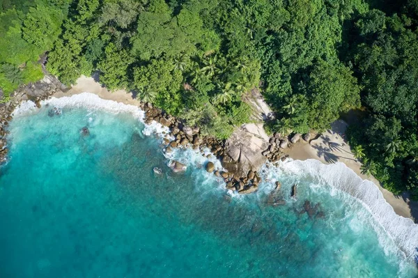 Drone field of view of secret cove with turquoise blue water meeting the forest on secluded island of Mahe, Seychelles.