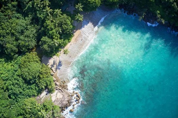 Drone Field View Secret Cove Turquoise Blue Water Meeting Forest — Fotografie, imagine de stoc