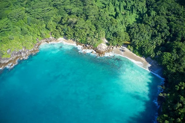 Drone Field View Secret Cove Turquoise Blue Water Meeting Forest — Stock Photo, Image