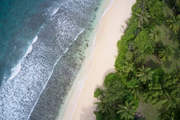 Drone Field View Waves Sand Sea Forest Praslin Seychelles — Stock Photo, Image
