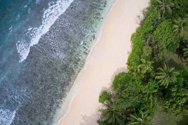 Drone Campo Visivo Onde Sabbia Mare Foresta Praslin Seychelles — Foto Stock