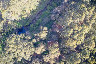 Batı Avustralya 'da kamp alanı olan yukarıdan insansız hava aracı orman manzarası..