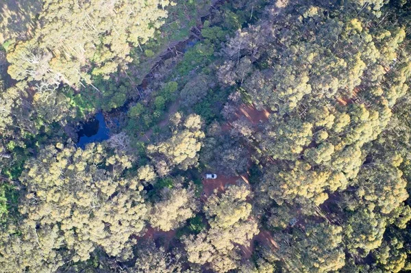 Batı Avustralya 'da kamp alanı olan yukarıdan insansız hava aracı orman manzarası..