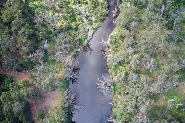 Campo Visión Del Dron Pino Con Río Que Fluye Través — Foto de Stock