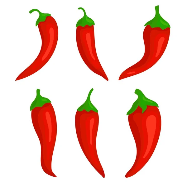 Closeup spicy chili peppers. Hot red chili pepper, cartoon mexican chilli or chillies illustration. Food cooking vegetables. Paprika icon signs isolated on white background. — Stock Vector