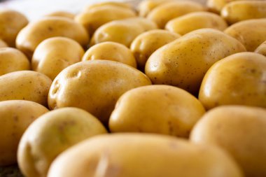 Arka planda altın bir patates manzarası.