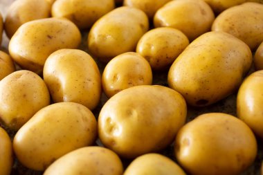 Altın patatesi arka plan olarak görmek.