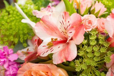 Çiçek buketinin yakın bir görüntüsü, incas çiçeğinin zambaklarının yer aldığı.