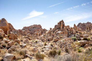 Joshua Tree Ulusal Parkı 'nın içindeki kayalık arazi manzarası.