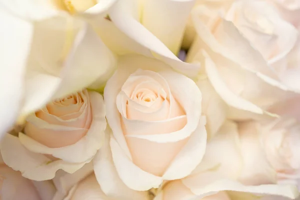 Una Vista Ravvicinata Mazzo Rose Bianche — Foto Stock