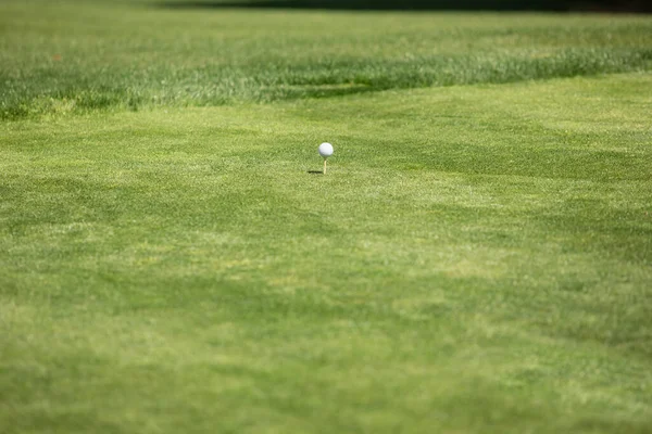 ゴルフ場のティーの上に眠るゴルフボールの眺め — ストック写真