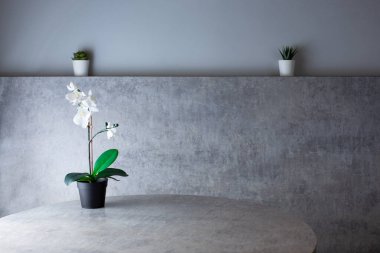 Arkaplan olarak bir tablo, plastik orkideler ve sulandırıcı içerikli somut bir iç mekan tasarımı görünümü.