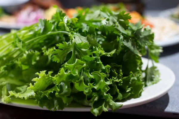 Detailní Pohled Talíř Plný Zeleného Listového Salátu Cilantra — Stock fotografie