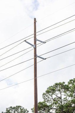 Uzun bir elektrik direği ve ağaçlar arasındaki elektrik hatlarının görüntüsü.
