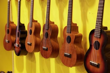 Yerel bir müzik dükkanında sergilenen ahşap ukulelelerin manzarası.