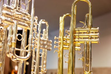 Yerel bir müzik dükkanında sergilenen birkaç trompetin görüntüsü..