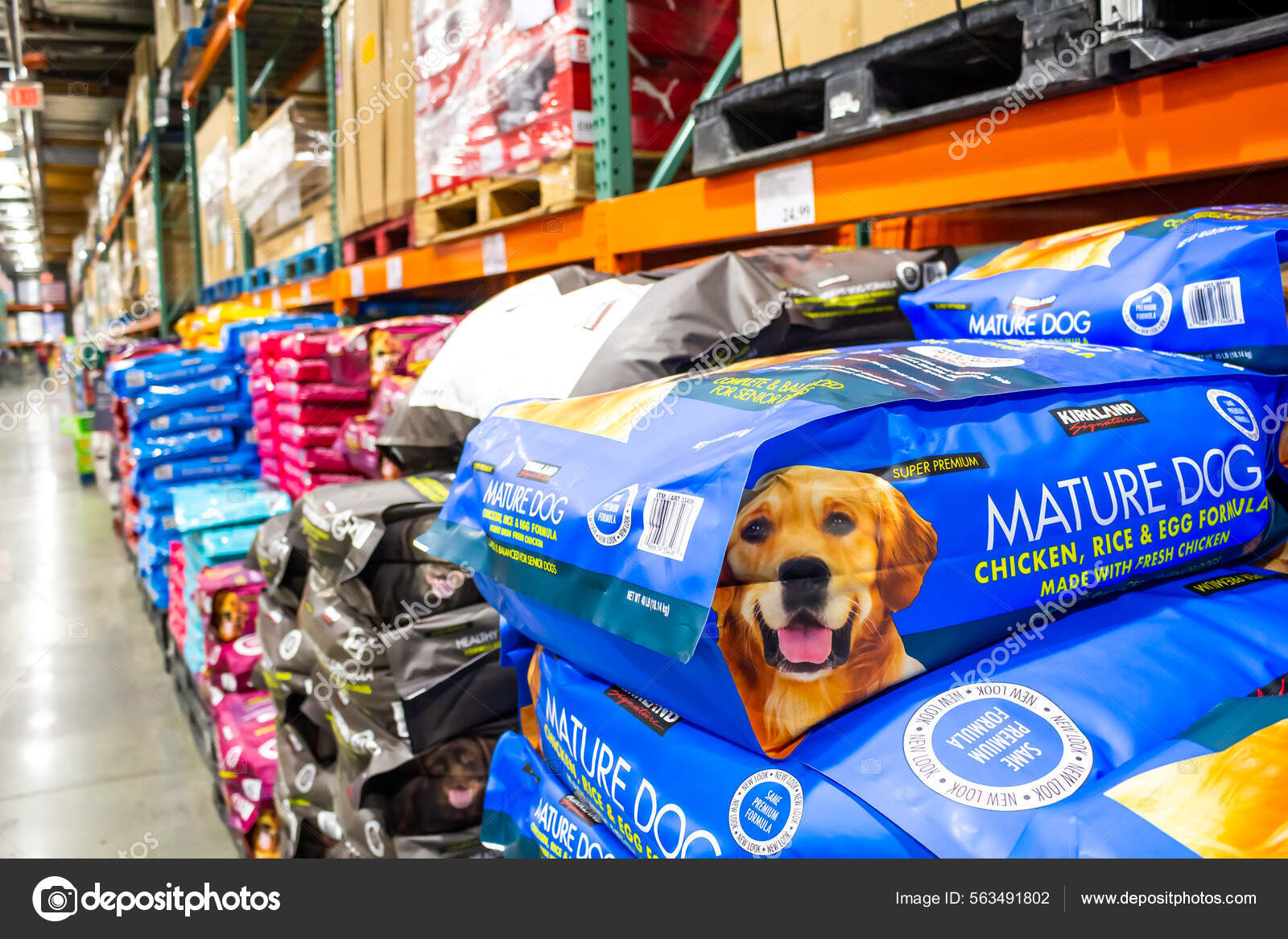 Mature dog kirkland sales