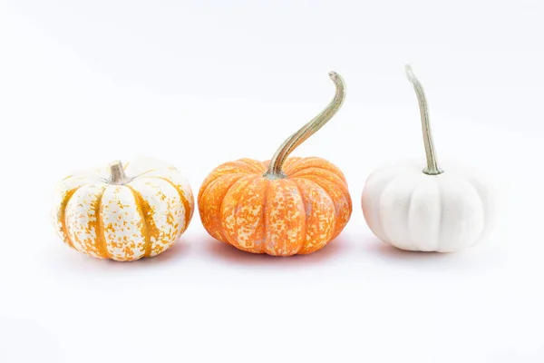 View Three Rustic Pumpkins White Background — Foto Stock