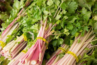 A view of several bunches of Chinese pink celery on display at a local farmers market.