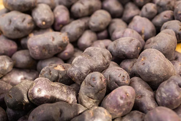 View Table Full Purple Potatoes Display Local Farmers Market — Foto de Stock