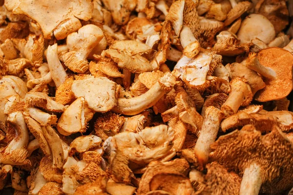 Tatlı mantarlarının arka planı, yerel bir markette sergileniyor..