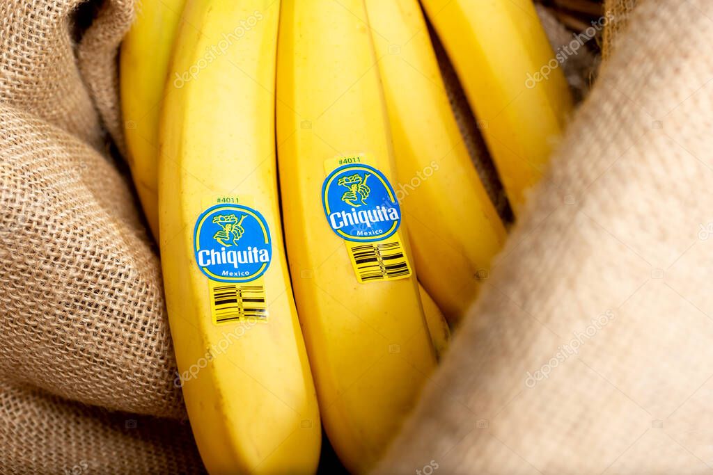 Los Angeles, California/United States - 02/06/2020: A view of a cluster of Chiquita brand bananas in burlap material.