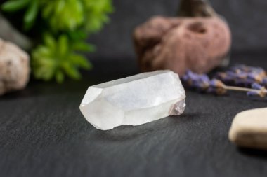 Durgun bir yaşam ortamında, bir kuvars kristalinin yakın çekim görüntüsü.