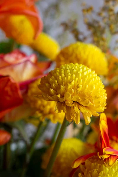 Вид Крупным Планом Цветочный Букет Маленькой Желтой Хризантемой — стоковое фото