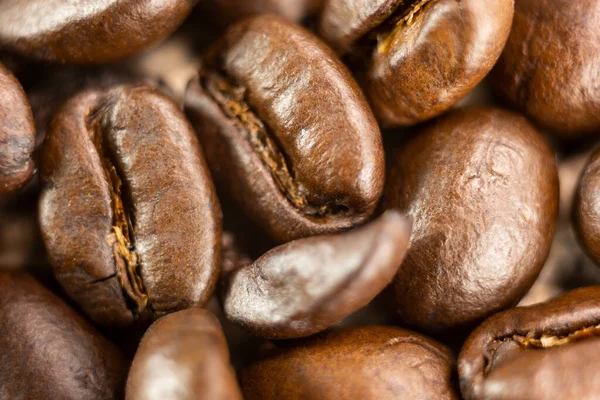 Koyu kavrulmuş kahve çekirdeklerinin makro yakın çekim görüntüsü..