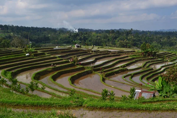 Beautiful Rice Terrace Very Famous Tourist Destinations Also Has Been — Foto de Stock