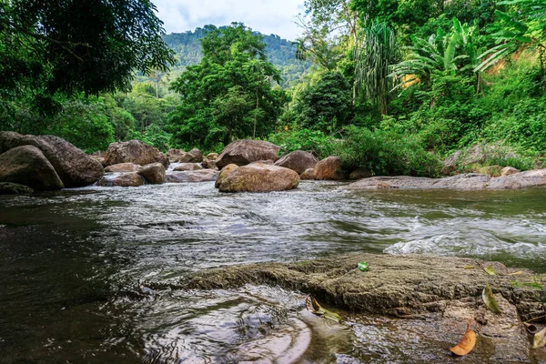 Río Bosque Piedra Río Con Árbol Luz Solar Naturaleza Ver — Foto de Stock