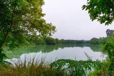 Renkli dramatik gökyüzü manzarası gün batımı veya bulutlu gündoğumu Orman 'daki Su Nehri' nde, Gökyüzü doğada bulutlu ve seyahat konseptiyle.