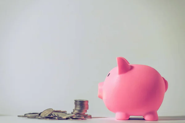 Money Account Banking Finance Concept Piggy Bank Coin Blurred Background —  Fotos de Stock